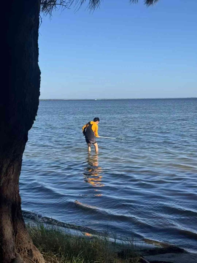 Melhores Locais para Pegar Siris e Dicas em Perth, Austrália, para Iniciantes