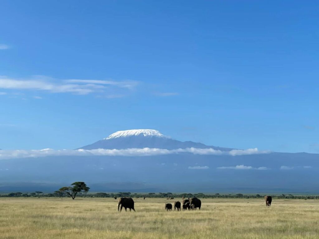 Best Kenya Safari Day 3 Itinerary: Wildlife Encounters & Masai Mara Adventures