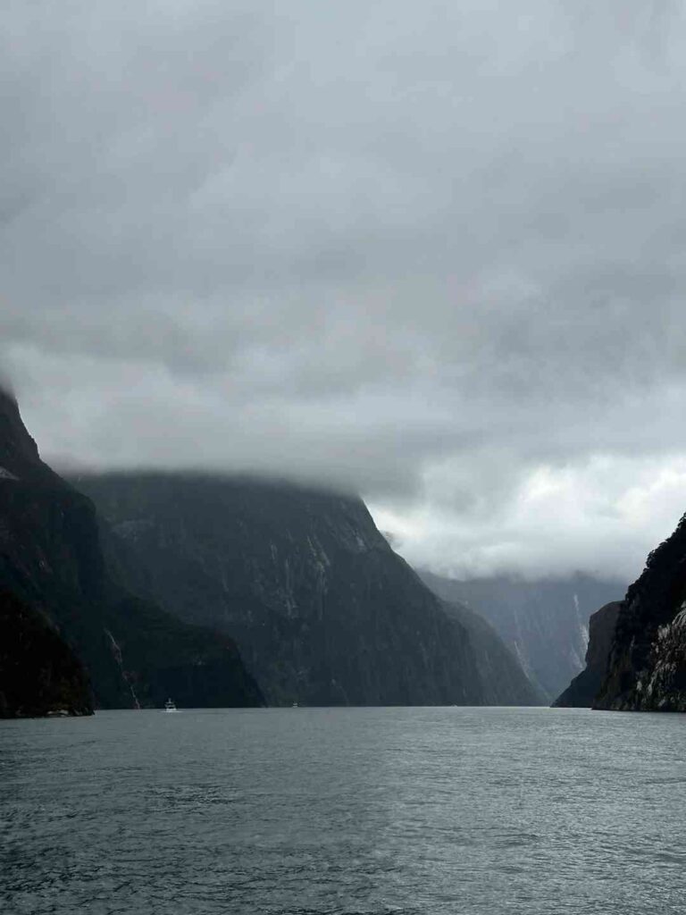 Beste Milford Sound Kreuzfahrterlebnis: PureMilford Touren sehr empfohlen.