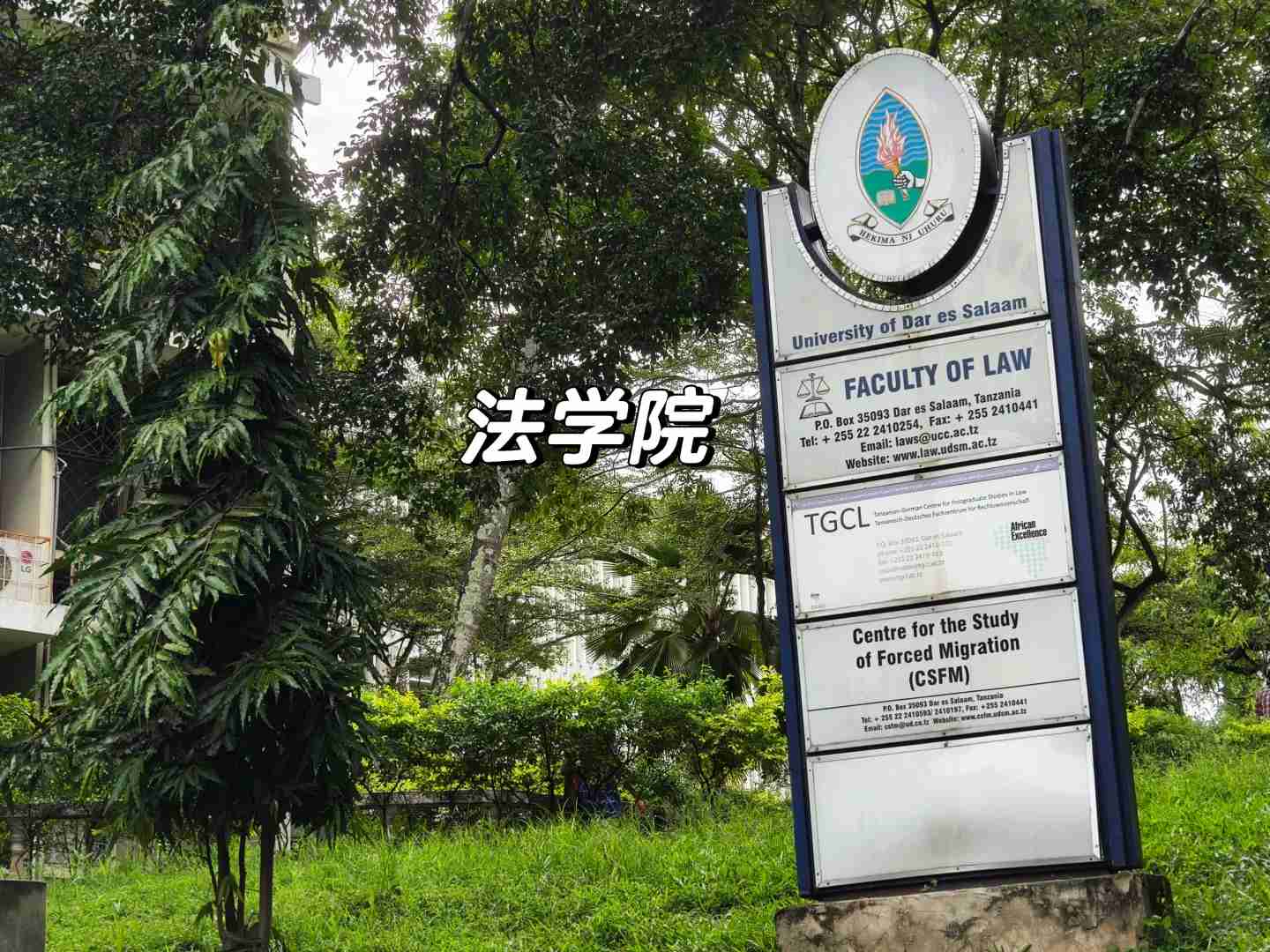 Best One-Day Campus Tour Guide at University of Dar es Salaam | Must-See Spots