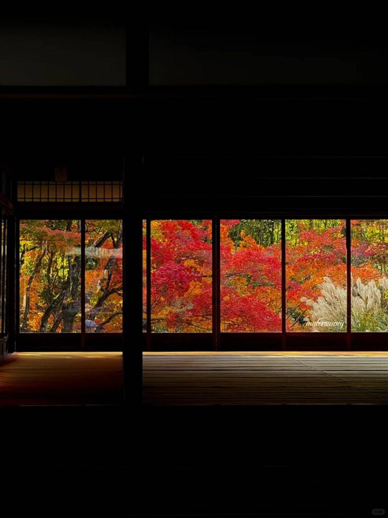 Best Places to See Autumn Leaves in Kyoto: Ultimate Fall Foliage Guide 2023