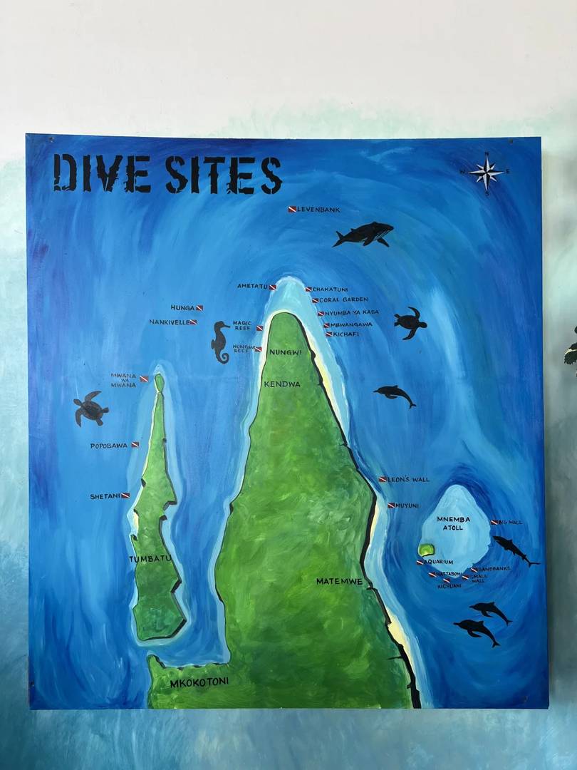 Best Scuba Diving in Zanzibar: Top Dive Sites, Tips & Travel Guide 2025