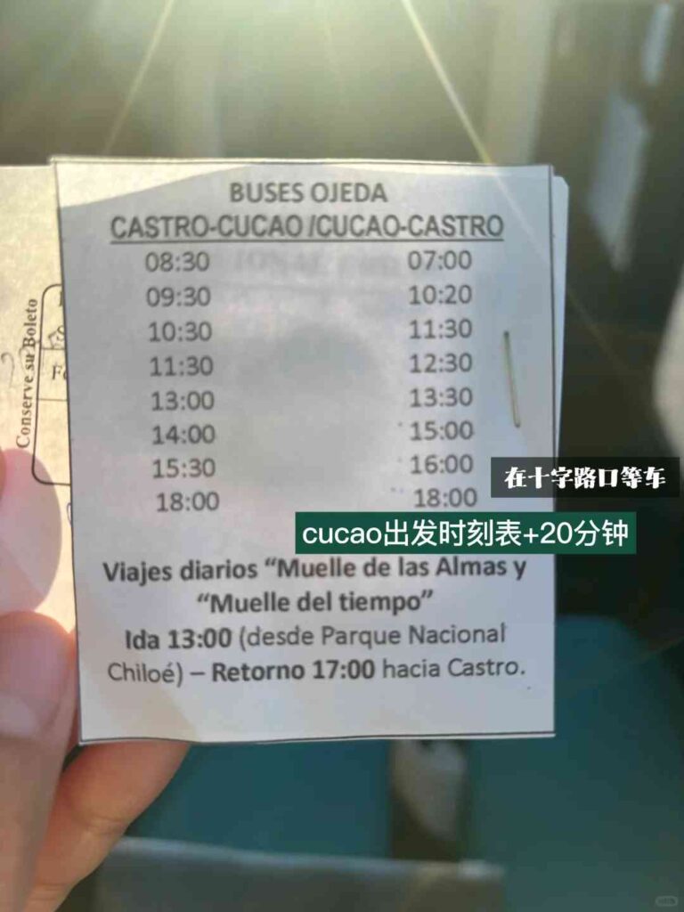 チロエのテプウエイコ公園で最高の自己ガイドツアー：ルートと予算に関するヒントは？