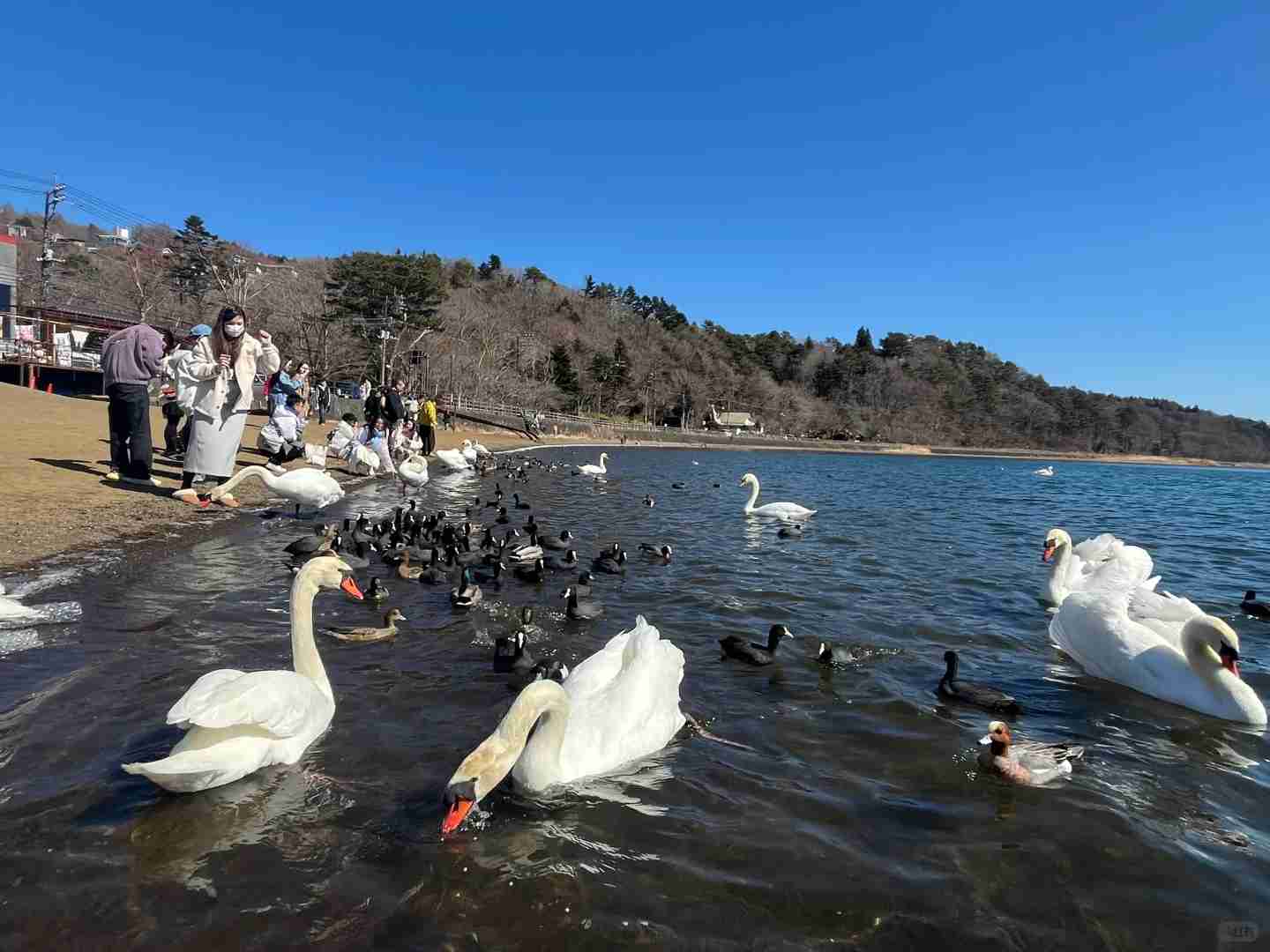 Best Spots for Unobstructed Mount Fuji Views in March 2025 | Stunning Photography Guide