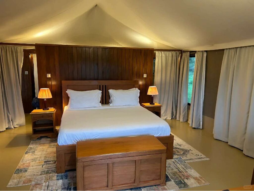 Best Tanzania Safari Accommodation Guide: Top Lodges & Camps for an Unforgettable Experience
