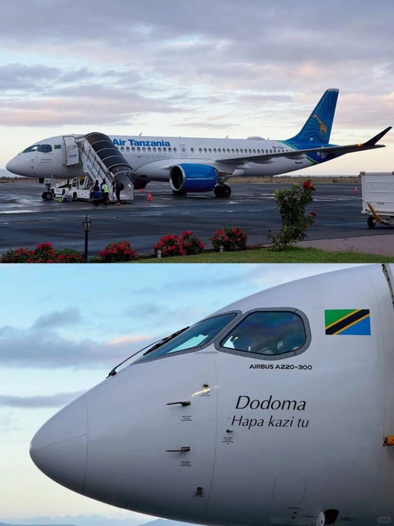 Best Tanzania Safari Flights Guide: Save Time & Money with Efficient Domestic Air Travel Tips