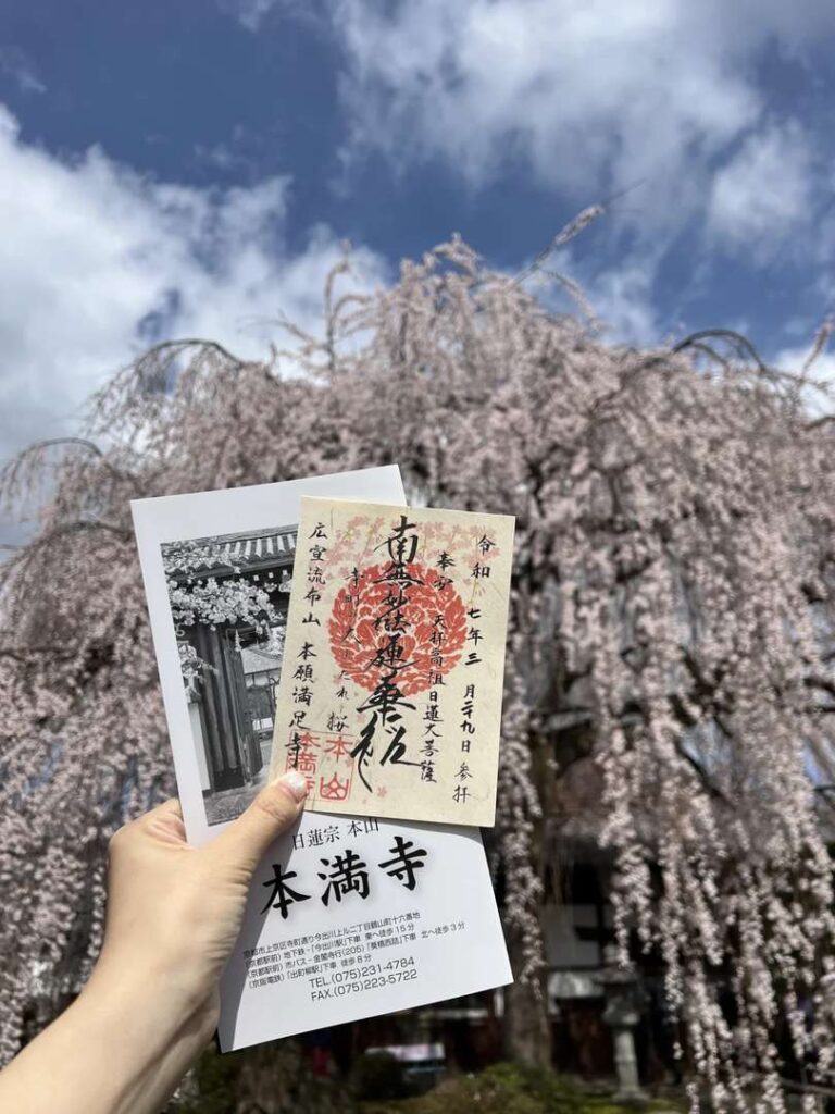 Best Time to See Kyoto Cherry Blossoms 2025: Honman-ji Temple Full Bloom Guide & Tips