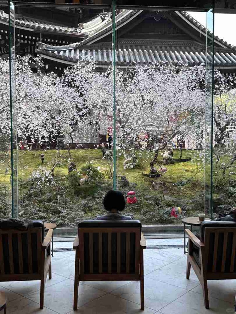 Best Time to See Rokkakudo Temple’s Stunning Weeping Cherry Blossoms in Kyoto Guide