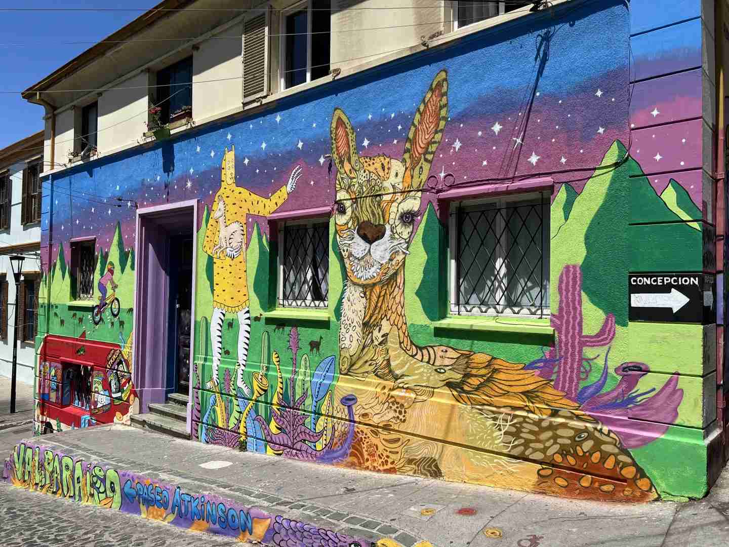Best Way to Explore Valparaiso and Viña del Mar on a Budget in Spring