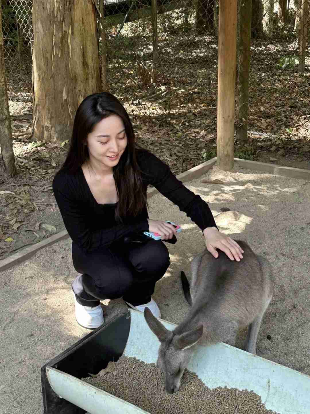 Cairns Koala Halten-Anleitung: Tipps, um Fehler zu vermeiden und am gleichen Tag das Krokodil-Park zu genießen