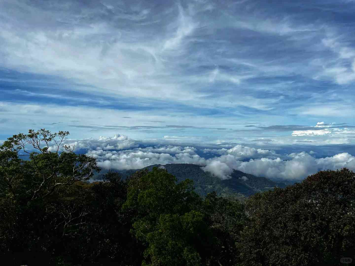 Climbing Mount Kinabalu in Rainy Season: Tips and Best Practices