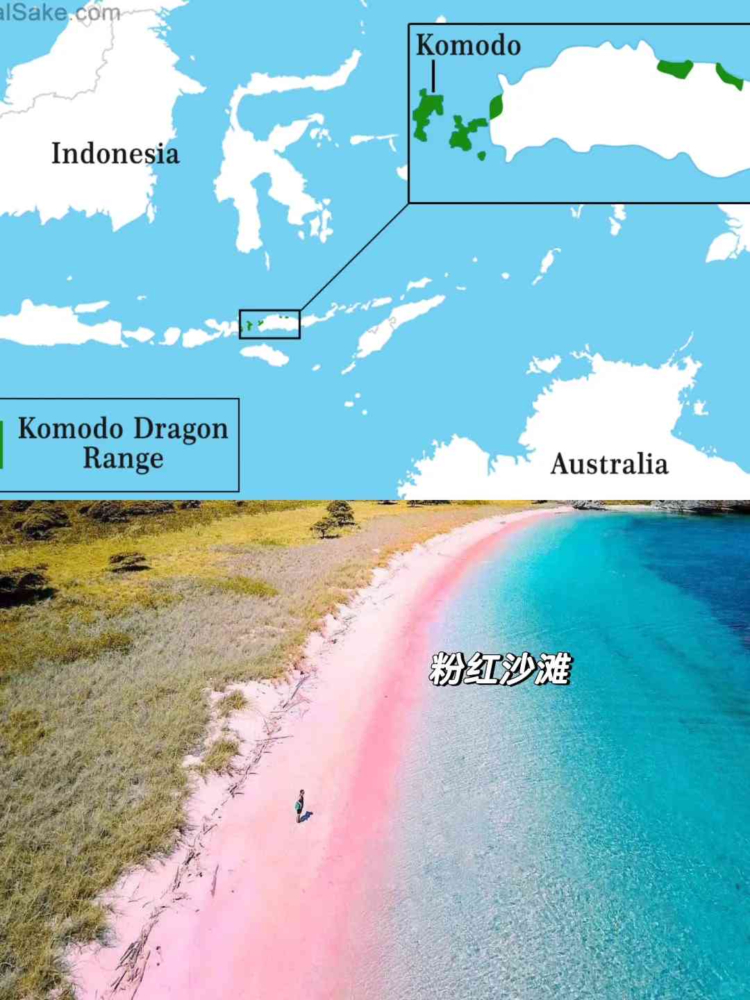 Comprehensive Guide to Planning and Enjoying Your Trip in Indonesia