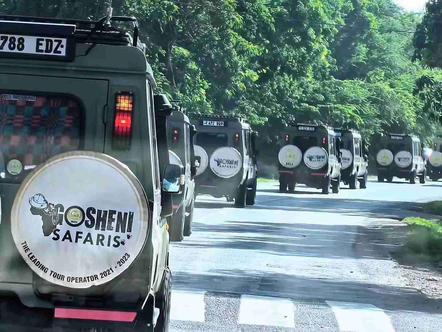 الصعود إلى جبل كيليمانجارو: رحلتي الشهيرة إلى قمة أفريقيا العظمى ونصائح أساسية