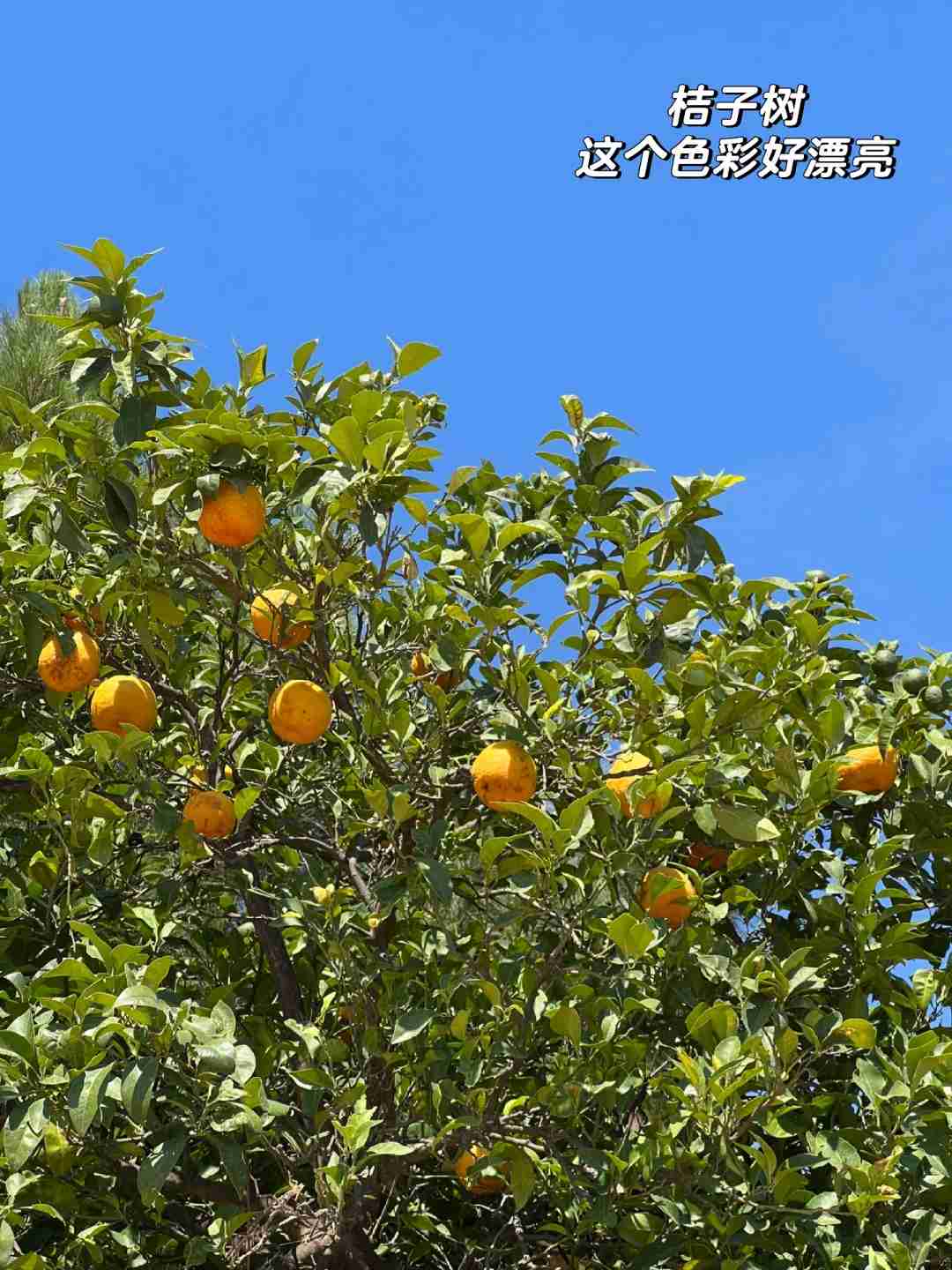 Cordoue 🥵 : Découvrez la Beauté Inégalée et la Chaleur de Cette Ville Incroyable
