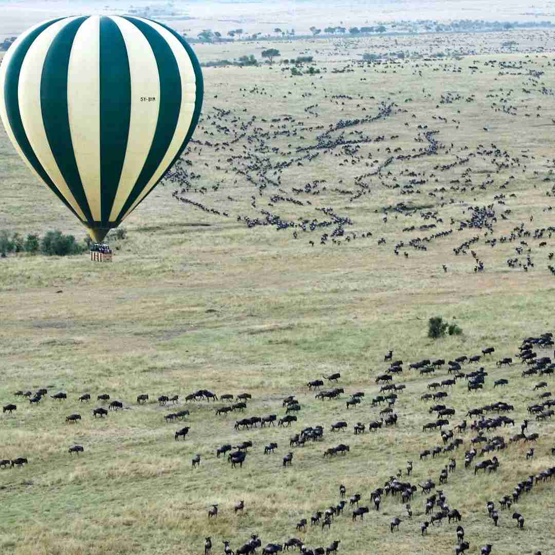 -Day 7-Night Kenya Safari: Ultimate Itinerary for Unforgettable Wildlife Adventure