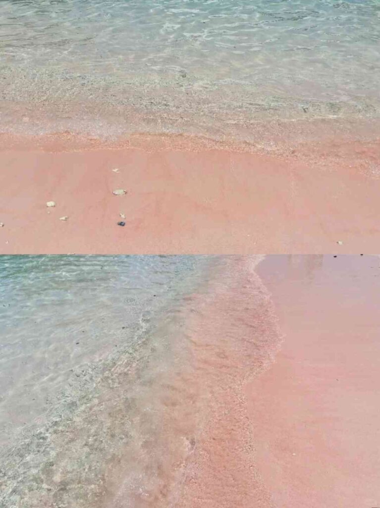 インドネシアツアーとコモド島日帰り冒険旅行