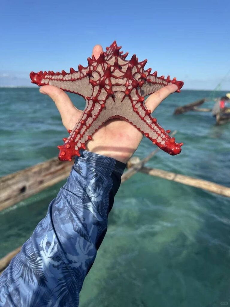 -Day Zanzibar Itinerary Guide: Best Things to Do & Must-See Attractions