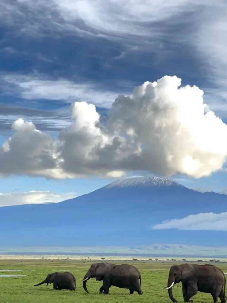 Tage in Kenia: Meine ehrliche Erfahrung mit dem Ziel, Veränderungen 😓 zu inspirieren
