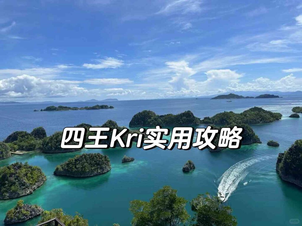 キングス諸島の4日間:食事、宿泊、旅行、ダイビングの洞察の究極のガイド