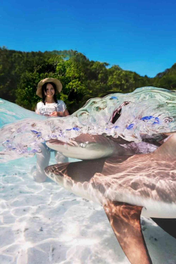 Discover 71% of Earth’s Hidden Underwater Beauty: Best Photos for Non-Divers
