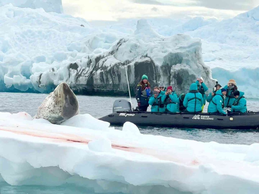 Discover Affordable Antarctica Trips: Explore for Over $50,000 Adventures