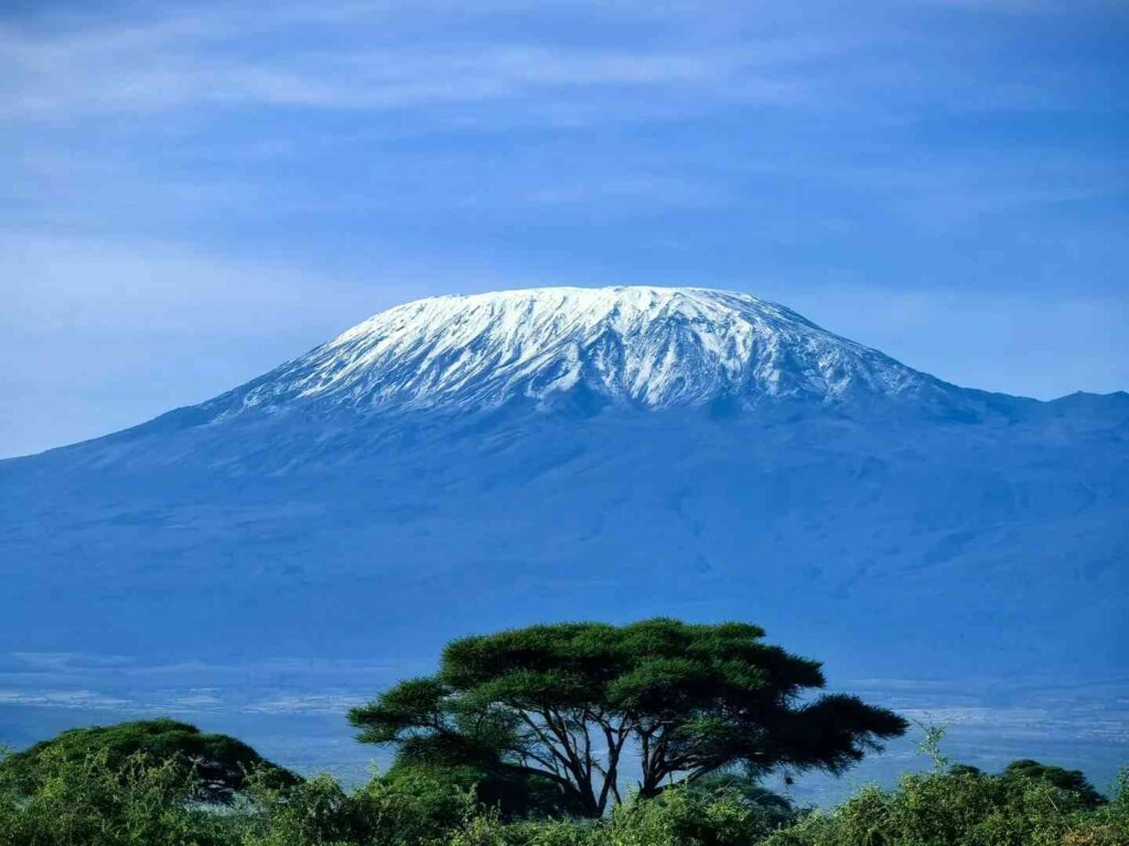 Entdecken Sie Amboseli: Hemingways inspirierendes Kilimandscharo-Safari-Abenteuer