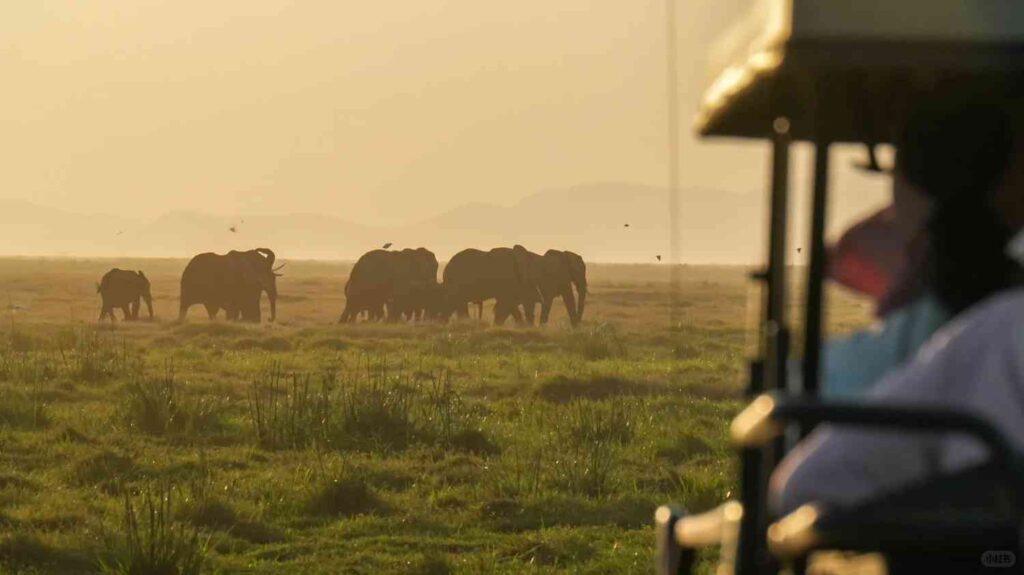 Discover Amboseli National Park: Ultimate 2023 Safari Guide & Travel Tips
