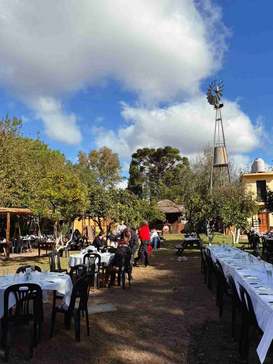 Découvrez l'Asado : L’expérience de barbecue argentin unique
