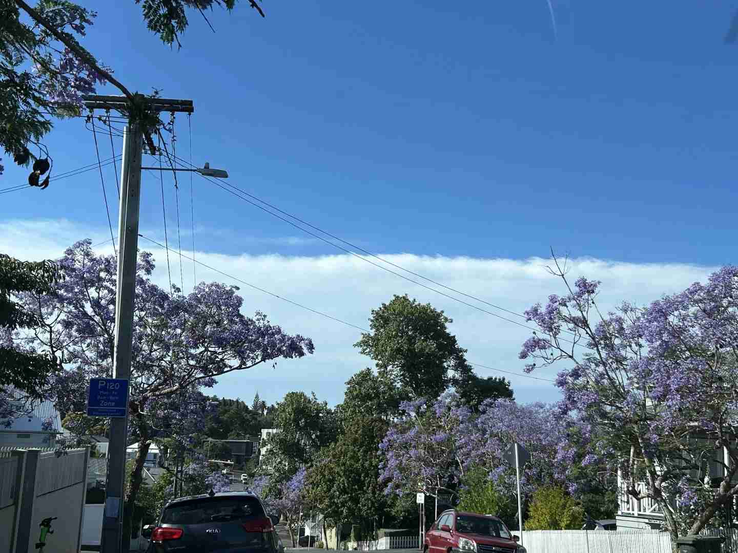 Découvrez Auckland : Guide d'expérience de vie en Nouvelle-Zélande pendant 6 mois avec un WHV