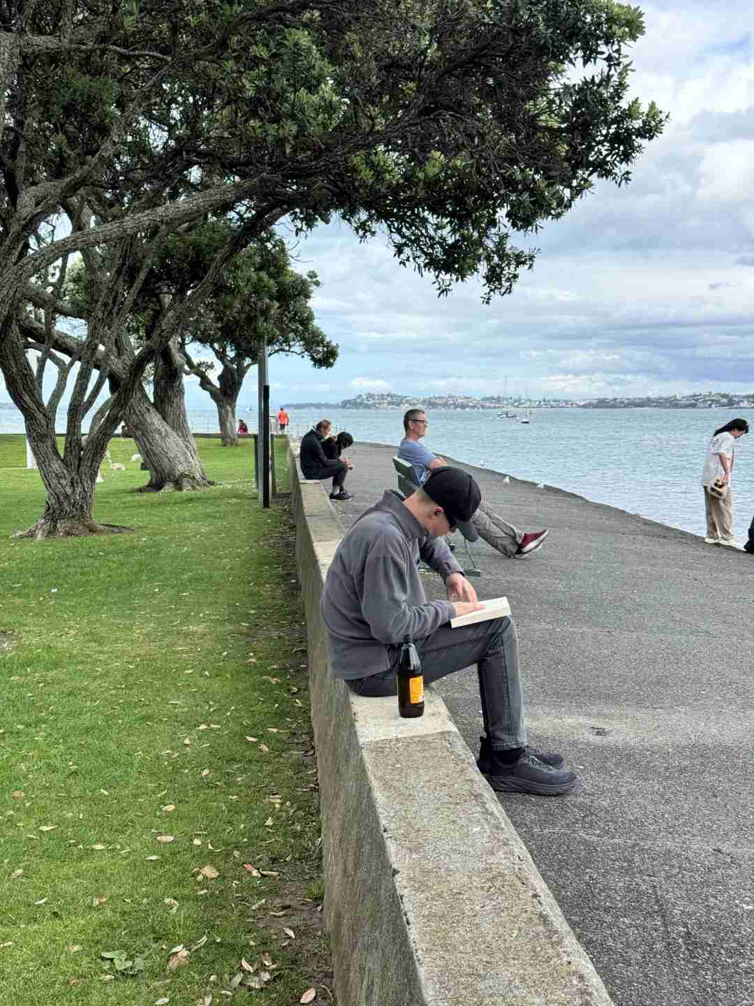 Entdecke das entspannte Lebensgefühl von Auckland: Eine charmante Reiseberichtserfahrung aus Neuseeland
