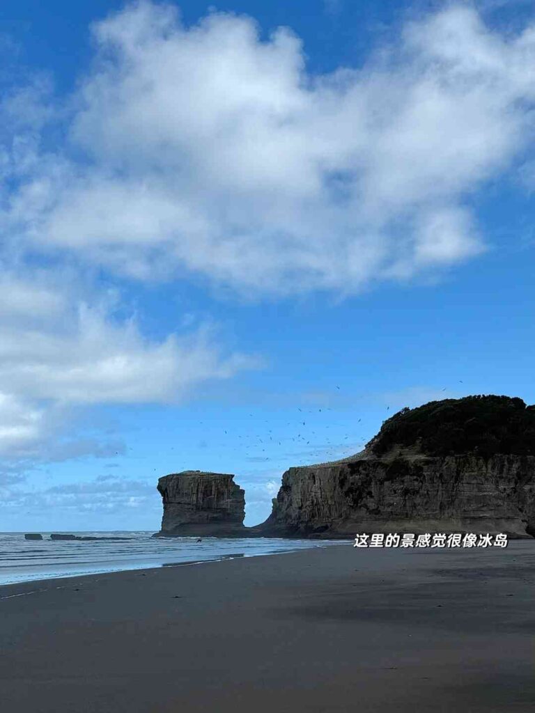 Découvrez la magnifique plage de sable noir d'Auckland : un trésor caché dans l'hémisphère sud.