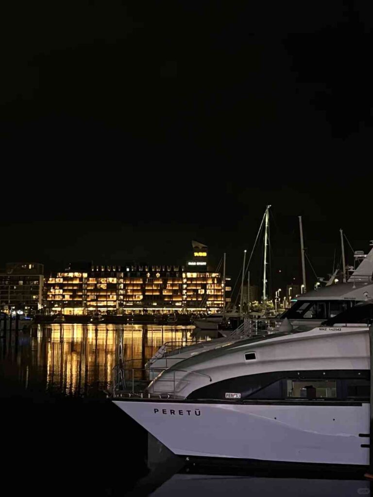 Découvrez la superbe vue nocturne d'Auckland le huitième jour en Nouvelle-Zélande.