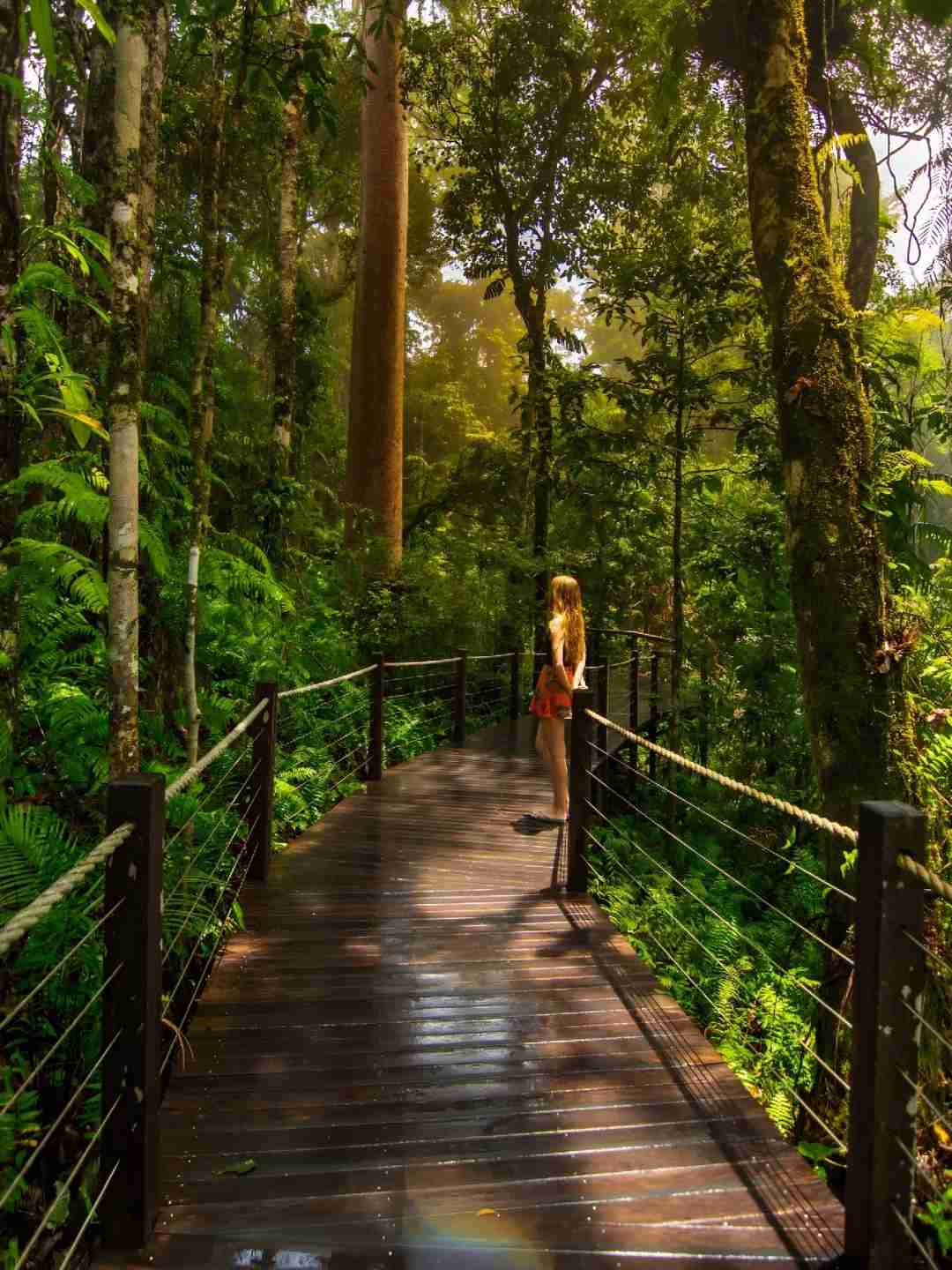 Découvrez Cairns, Australie : Regrettez de ne pas avoir découvert cet Eden tropical plus tôt !