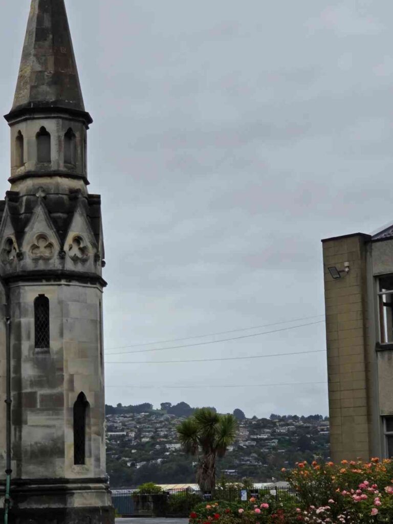 Entdecke Dunedin: Erkunde das verborgene Juwel von 100% Reiner Neuseeland.
