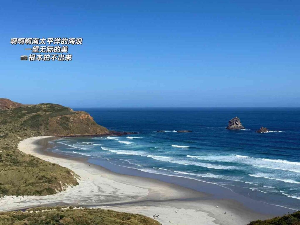 rarara Dunedin: O Surpreendentemente Encantador Trecho de Sua Viagem à Baía de Sandfly na Nova Zelândia.