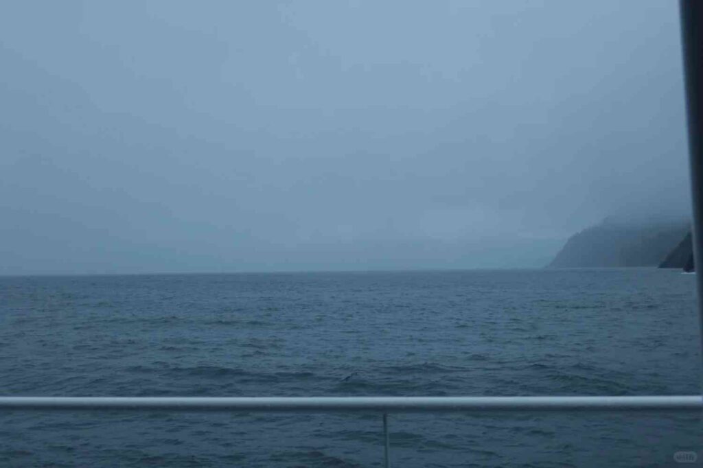 Discover Fjord’s Hidden Gems: Unforgettable Scenic Beauty Awaits You