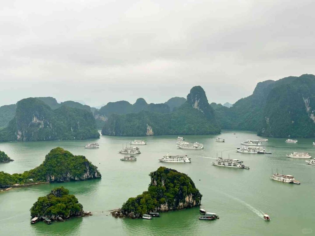 Découvrez la baie d’Ha Long : meilleures excursions d’une journée et expériences