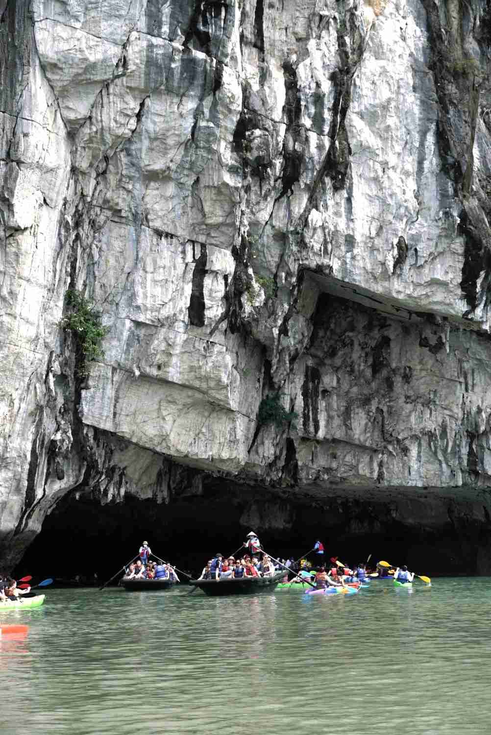 Discover Ha Long: Explore the Mysterious Beauty of Vietnam's Hidden Gem 🍃⛰️