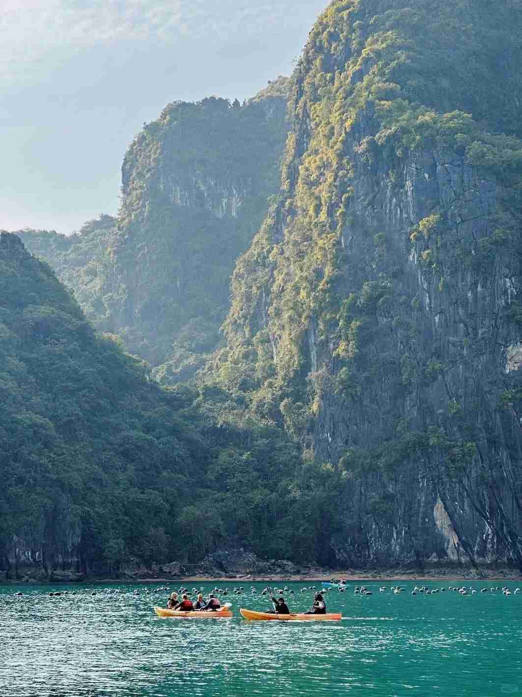 Discover Halong Bay in Vietnam: The Overseas Alternative to Guilin's Scenic Beauty