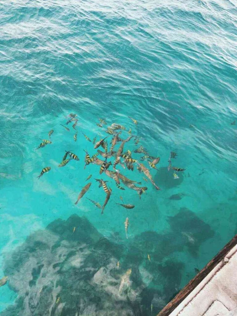 اكتشف وجهات الجزر خارج نطاق التأشيرات: أماكن الإجازات غير المستكشفة 🏖️