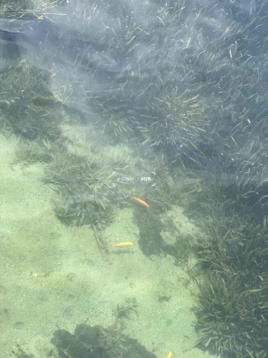 Entdecken Sie Indonesiens einzigartigen Toba-See: Das Abenteuer am größten Vulkansee der Welt