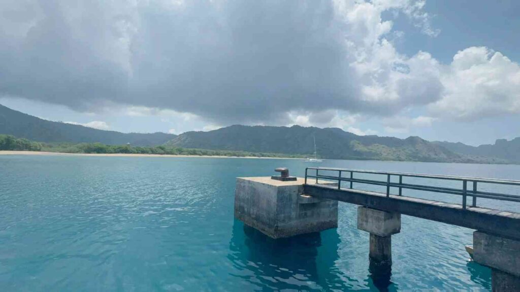 Descubra dragões de Komodo sem viajar para a Ilha de Komodo.