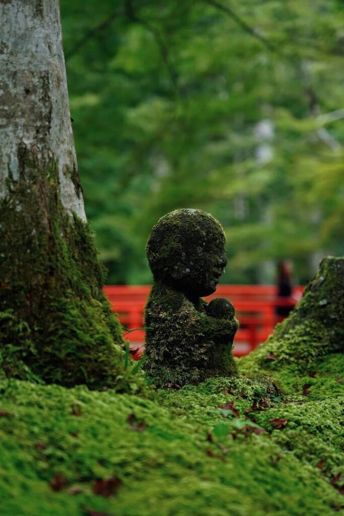 Discover Kyoto’s Serene Mountain Beauty & Sanzen-in Temple’s Exquisite Charm | Travel Guide