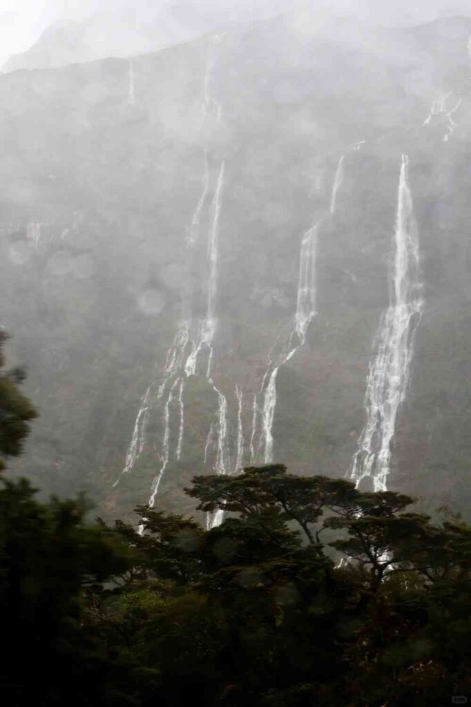 Discover Milford Sound, New Zealand: A Scenic Paradise for Nature Lovers