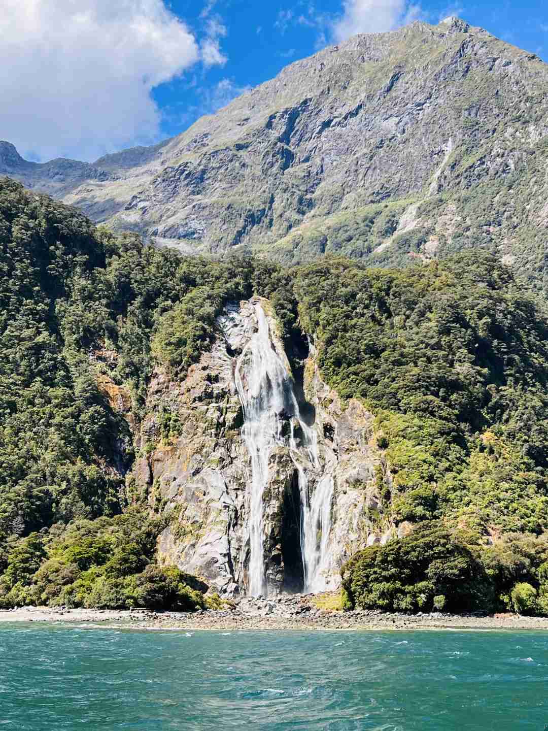 Discover Milford Sound: Scenic One Day Tour from Queenstown