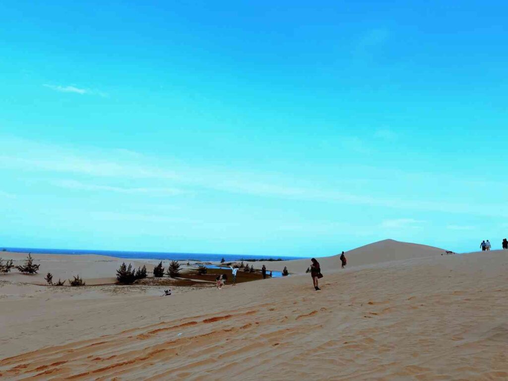 Discover Nha Trang, Vietnam: Best Beaches and Local Attractions Guide
