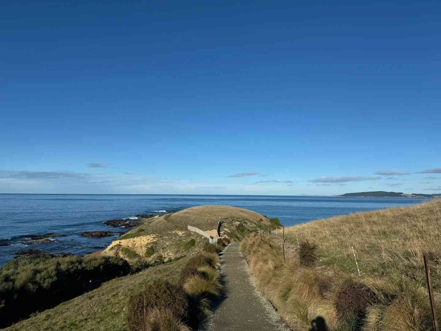 Descubra Oamaru até Dunedin: Por que a Viagem Cênica é uma Parada Necessária na Nova Zelândia