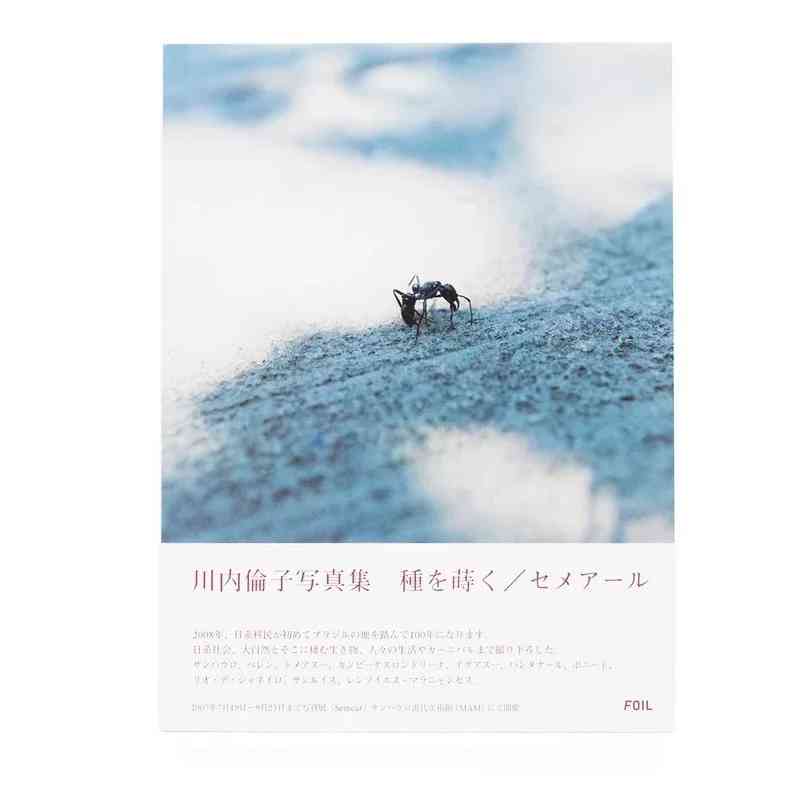 Discover Rare Out-of-Print Photobook: Rinko Kawauchi's Sowing Seeds