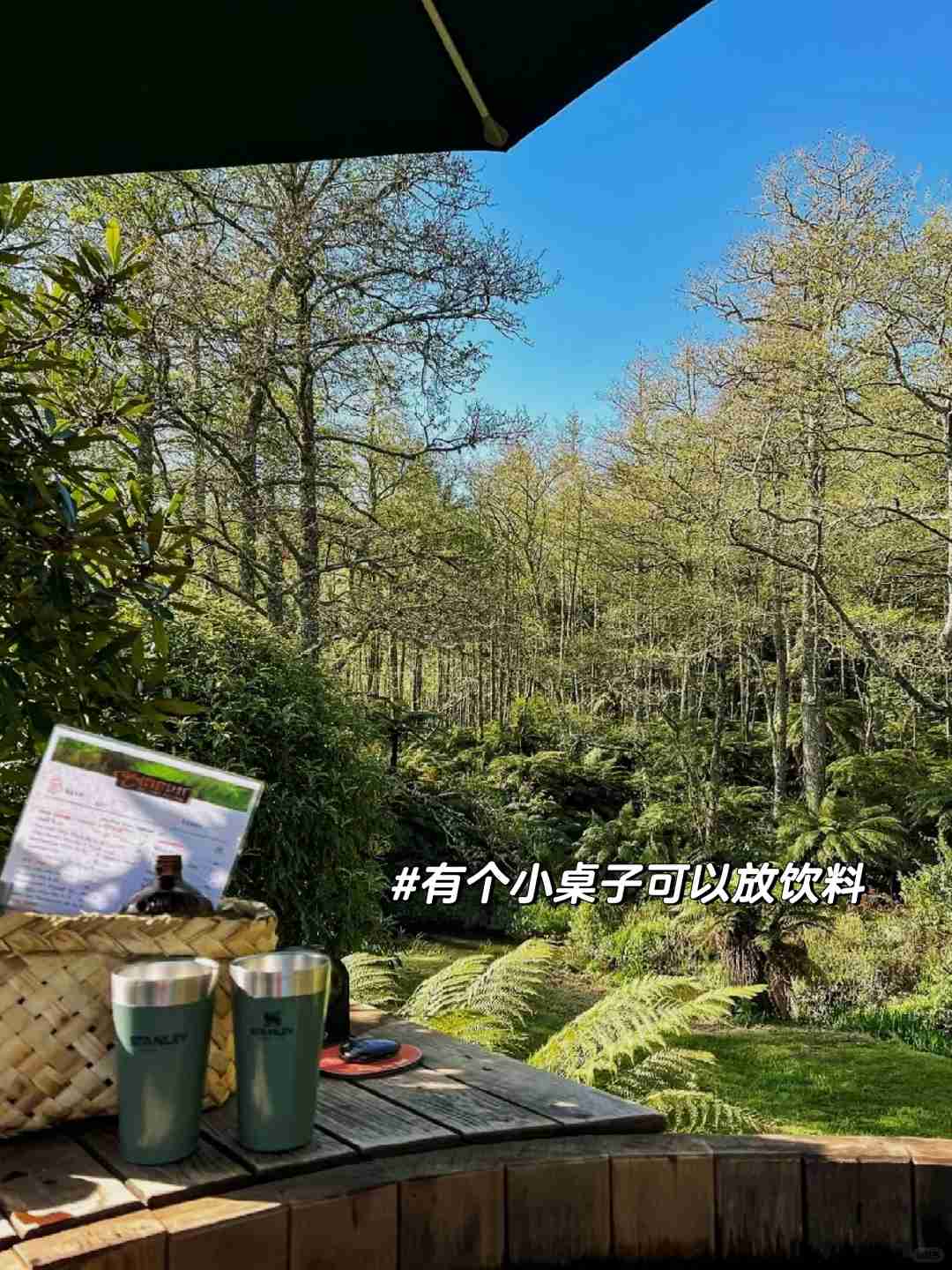Découvrez des sources thermales forestières apaisantes près d'Auckland à moins de 100 dollars par personne