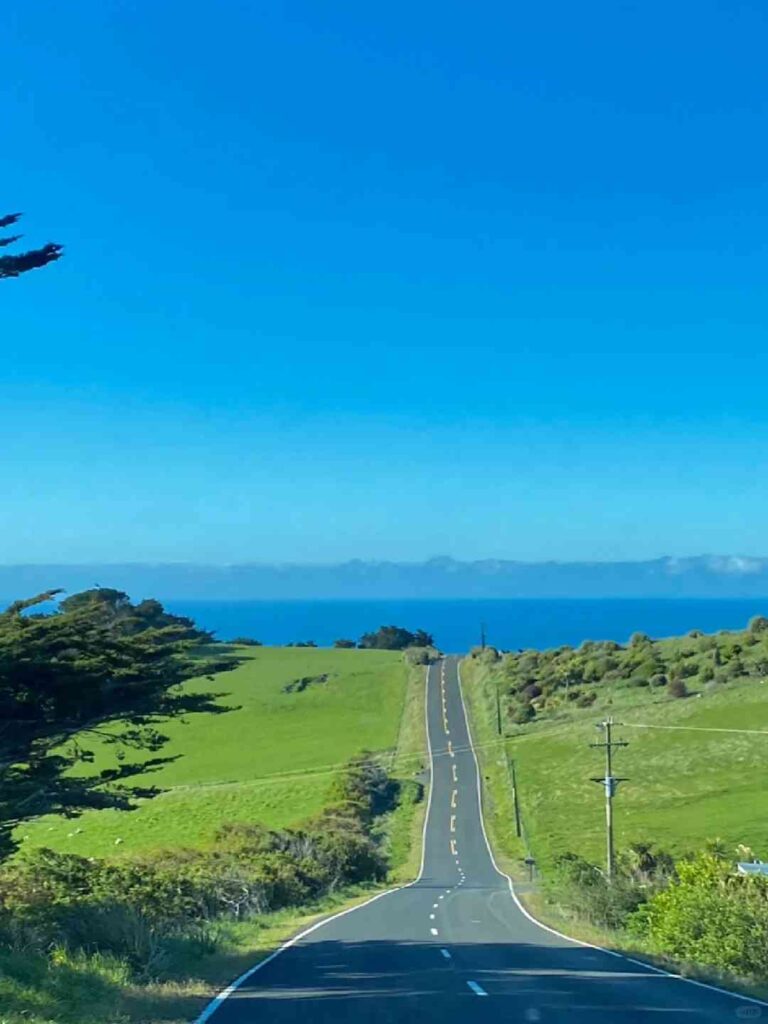 Descubra Sandfly Bay, Dunedin: O Tesouro Escondido da Nova Zelândia para Amantes da Natureza.